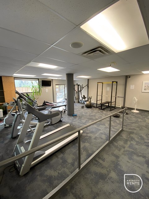 A gym with a grey floor and a row of treadmills.