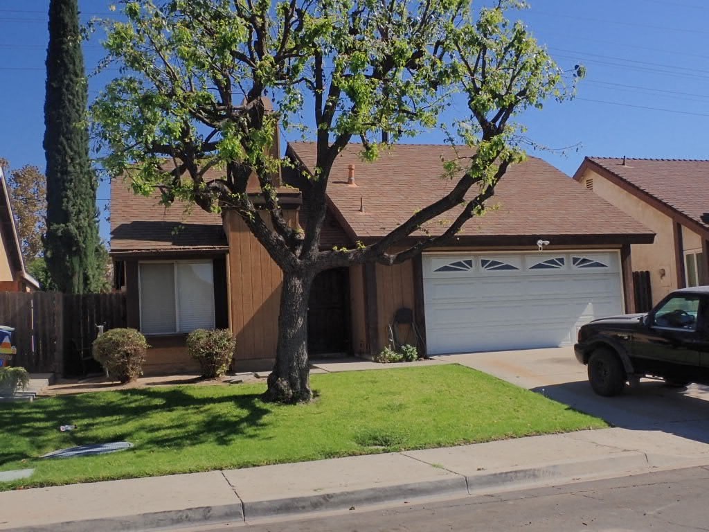 A tree with green leaves is in front of a house with a white garage door.