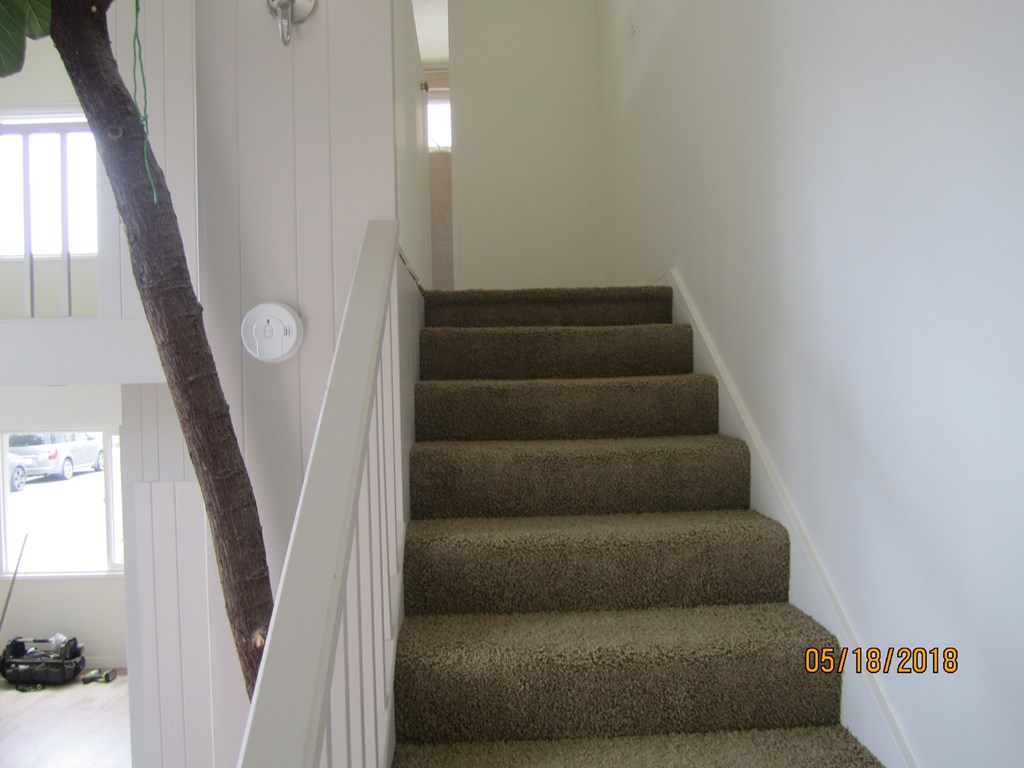 A staircase with a tree branch on the left side.