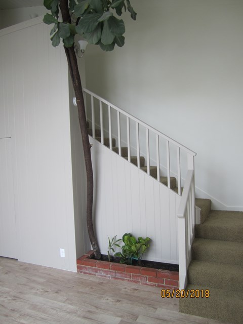 A tree growing out of a planter next to a staircase.