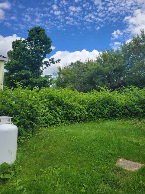 a white generator in the grass in front of a hedge