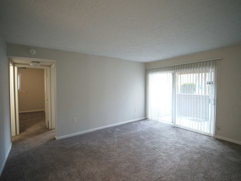 A room with carpeted floor and a sliding glass door.