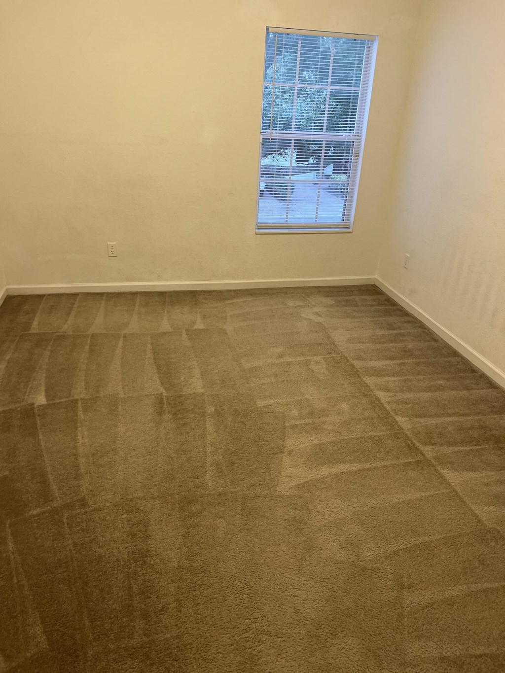 Vistas At Phillips Commons