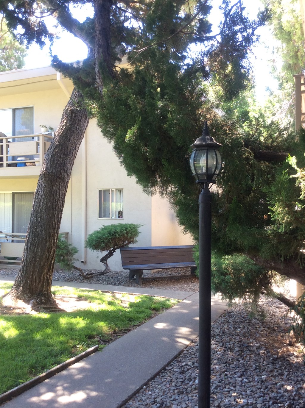 Southwood Place Tree and Sitting Area