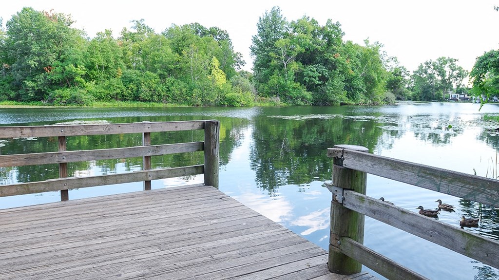 a view of a lake from a wooden dock