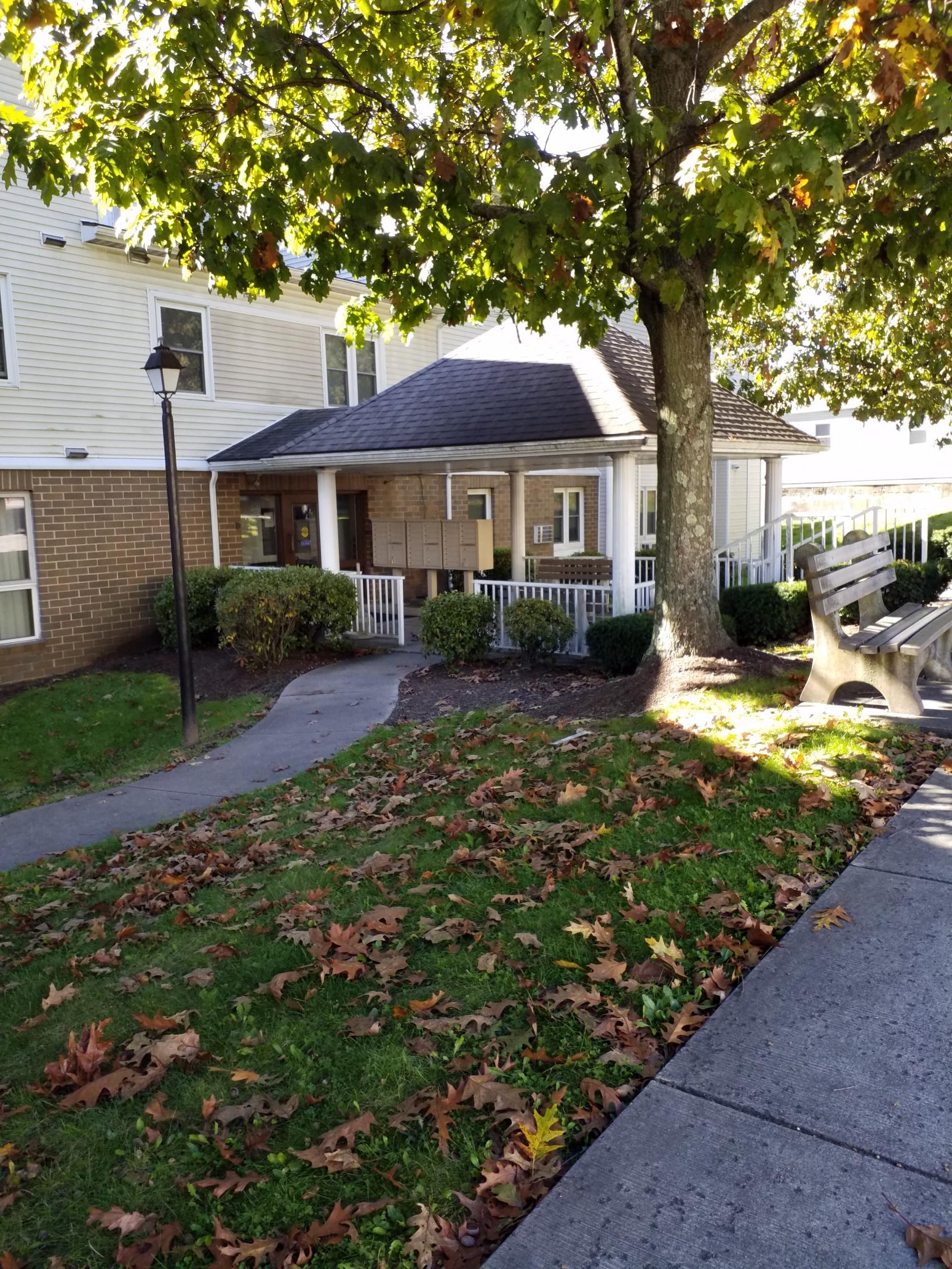a sidewalk in front of a house with a tree