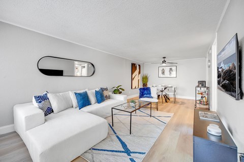 A living room with a white couch and a blue rug.