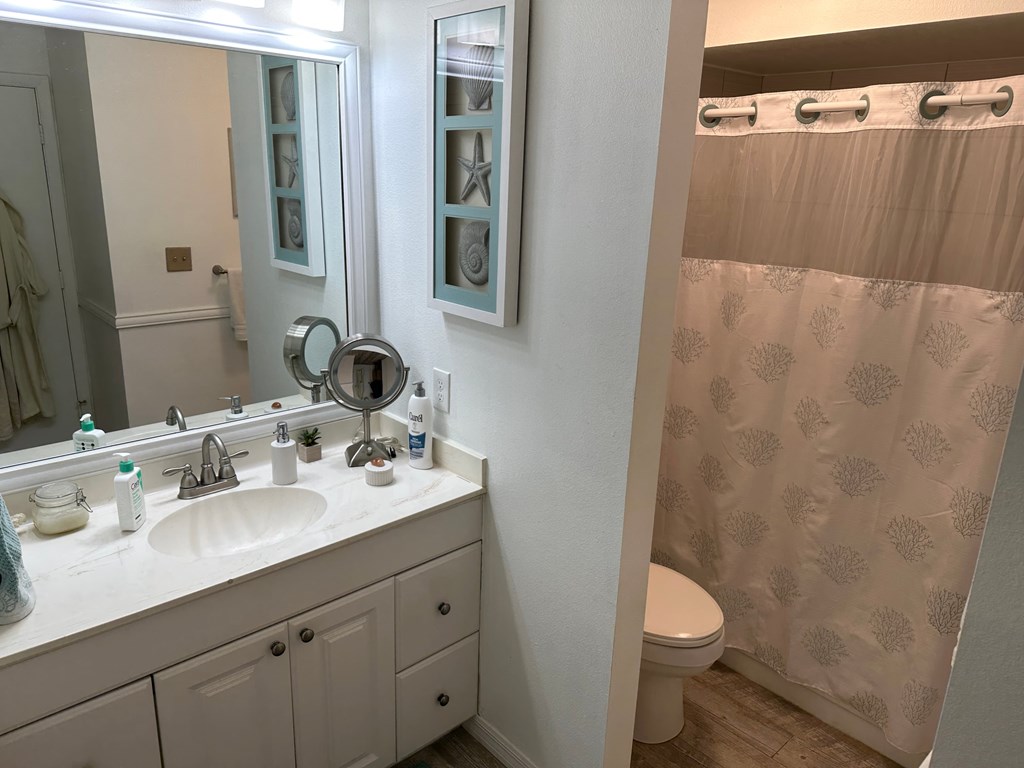 a bathroom with a sink and a toilet and a shower