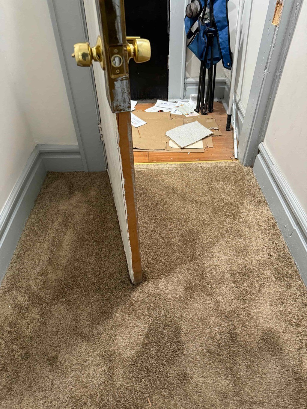a brown carpeted hallway with a wooden door