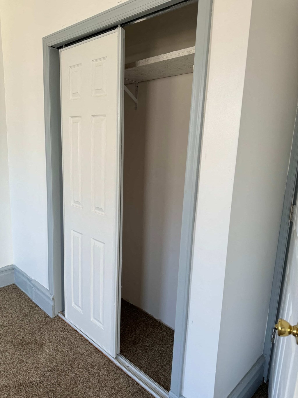 a closet with a white door and a mirror in it