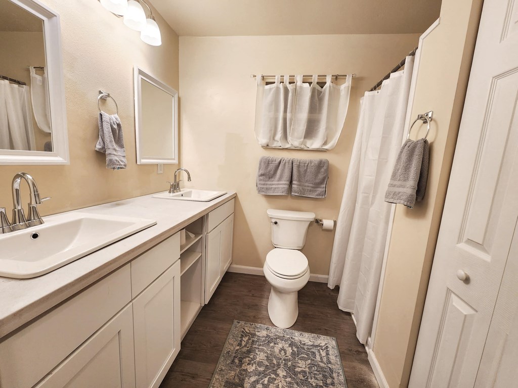 a bathroom with a toilet and a sink