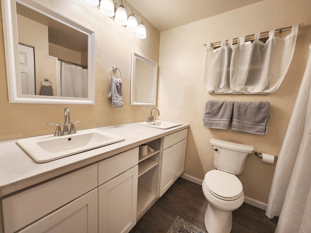 a bathroom with a toilet and a sink and a mirror
