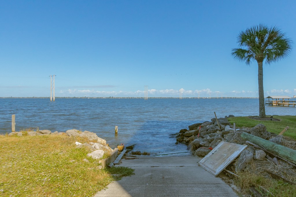 a palm tree and a sidewalk next to a body of water