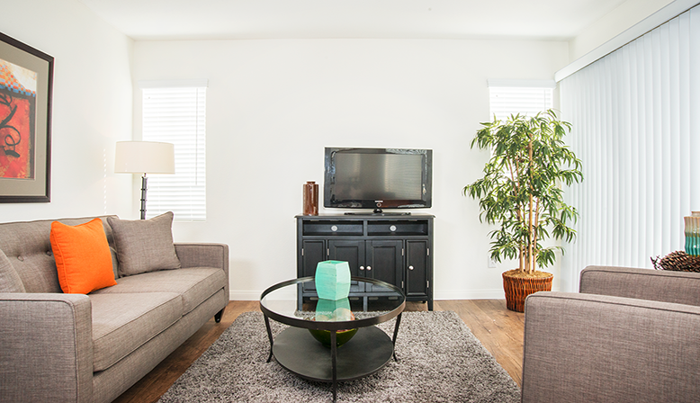 a living room with a couch and a tv