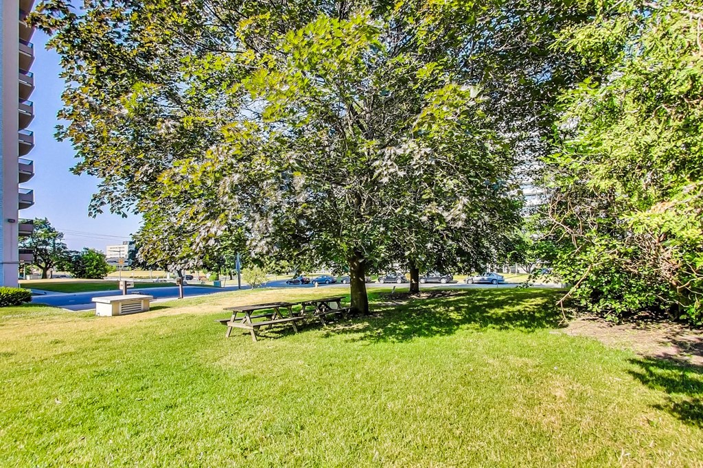 A tree in a grassy area with a picnic table.