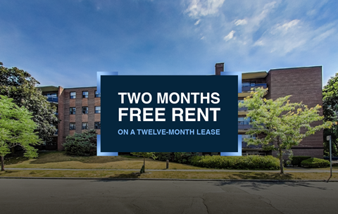 32 Clayland Drive Studio-2 Beds Apartment for Rent