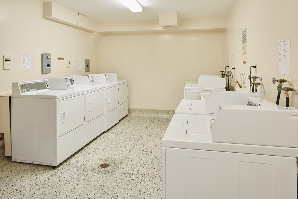 A row of sinks in a public restroom.