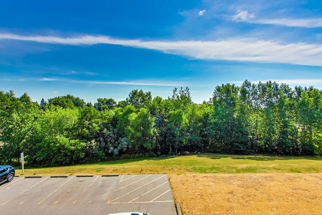 A parking lot with a car and trees in the background.