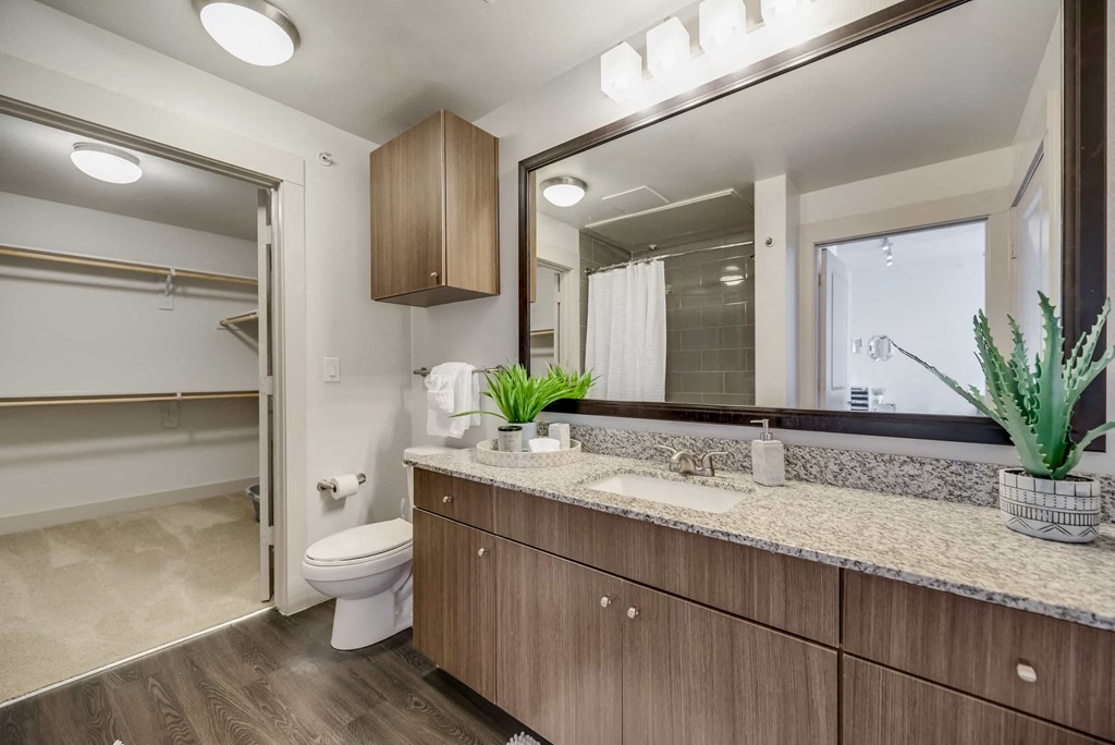 a bathroom with a toilet and a sink and a mirror