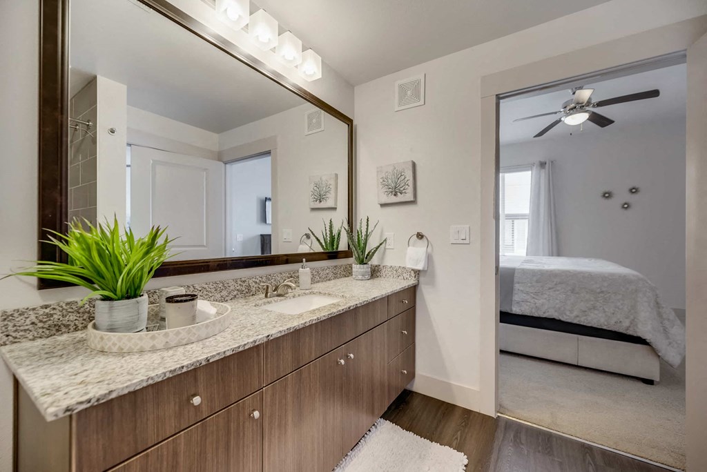 a bathroom with a large mirror and a sink