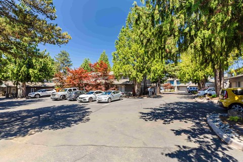 A parking lot with cars and trees.