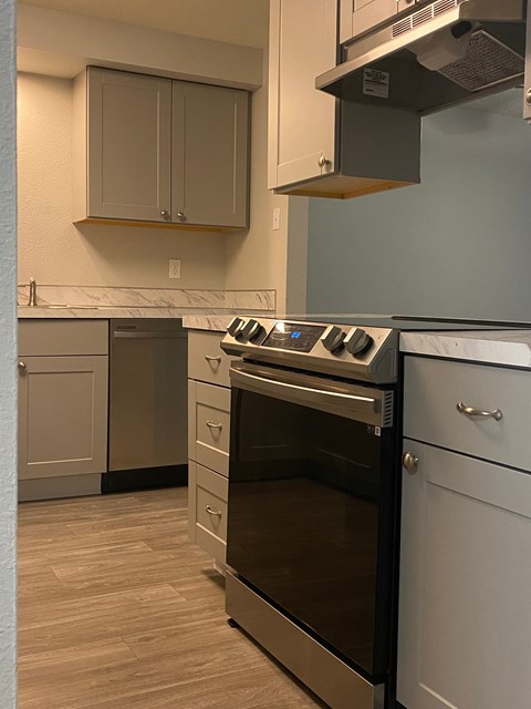 A kitchen with a stove top oven and a dishwasher.