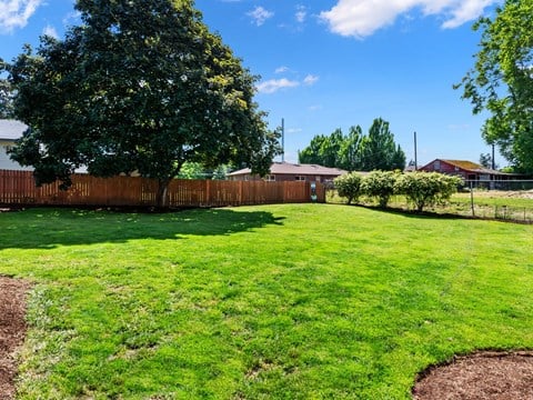 a backyard with a fence and a green lawn and trees