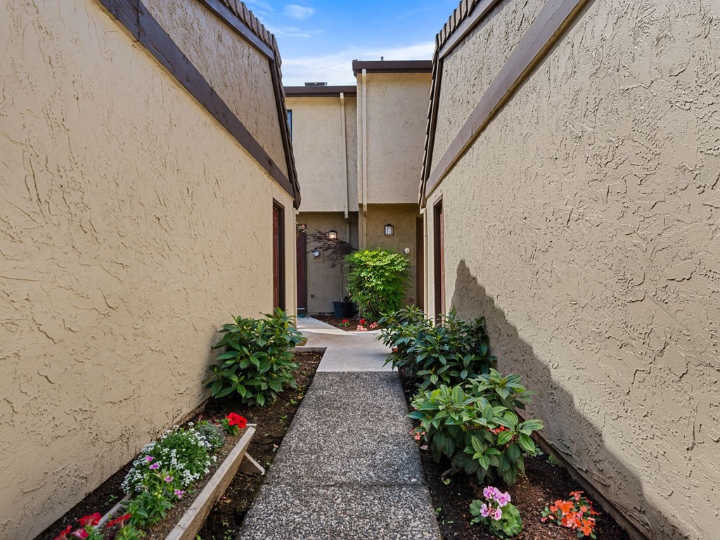 a walkway between two buildings with plants and flowers