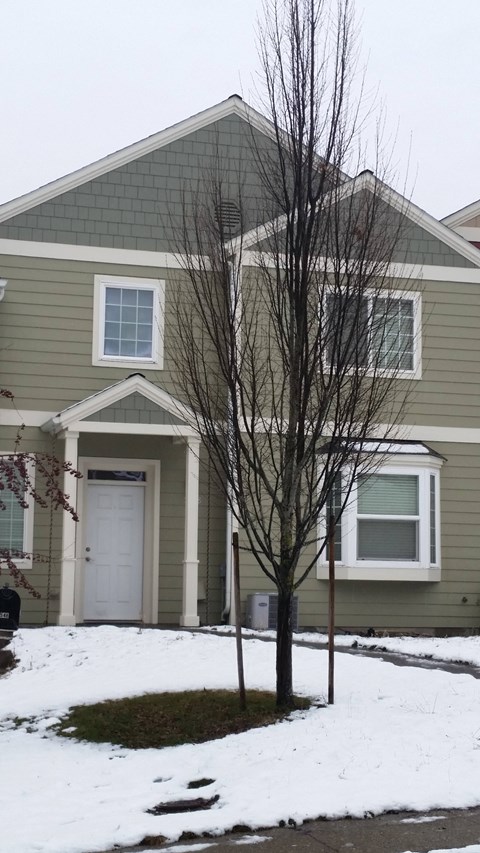 a green house with snow on the ground
