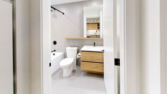 a bathroom with a toilet and a sink and a mirror