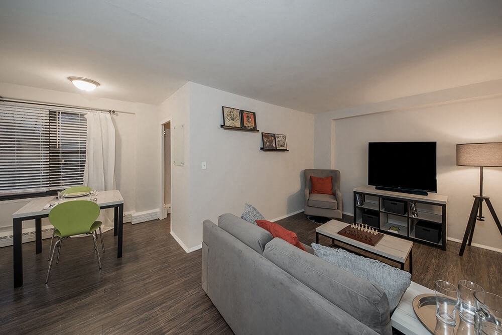 a living room with a couch and a television