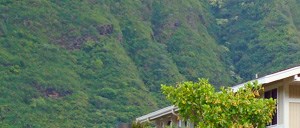 Apartments For Rent Manoa Hawaii Apartments For Rent Manoa Hawaii