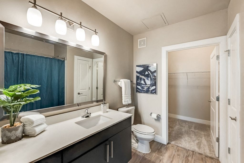 a bathroom with a sink and a toilet and a mirror