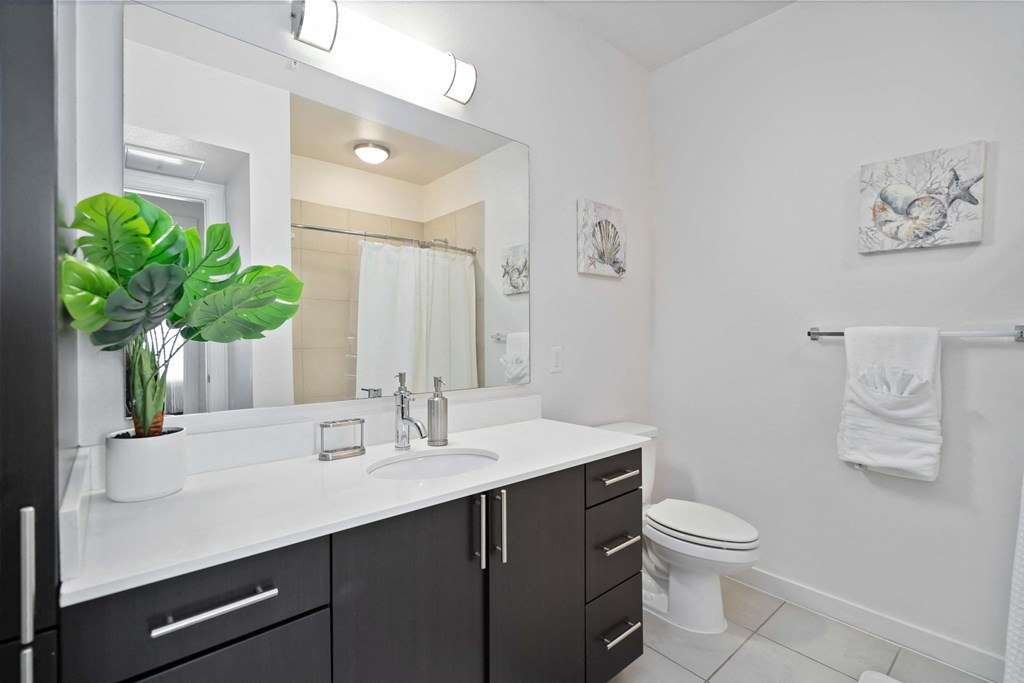 a bathroom with a sink and a mirror and a toilet