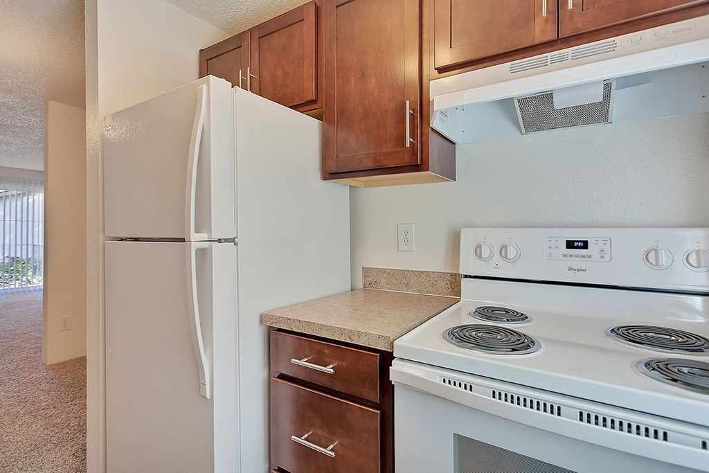 a kitchen with a stove and a refrigerator
