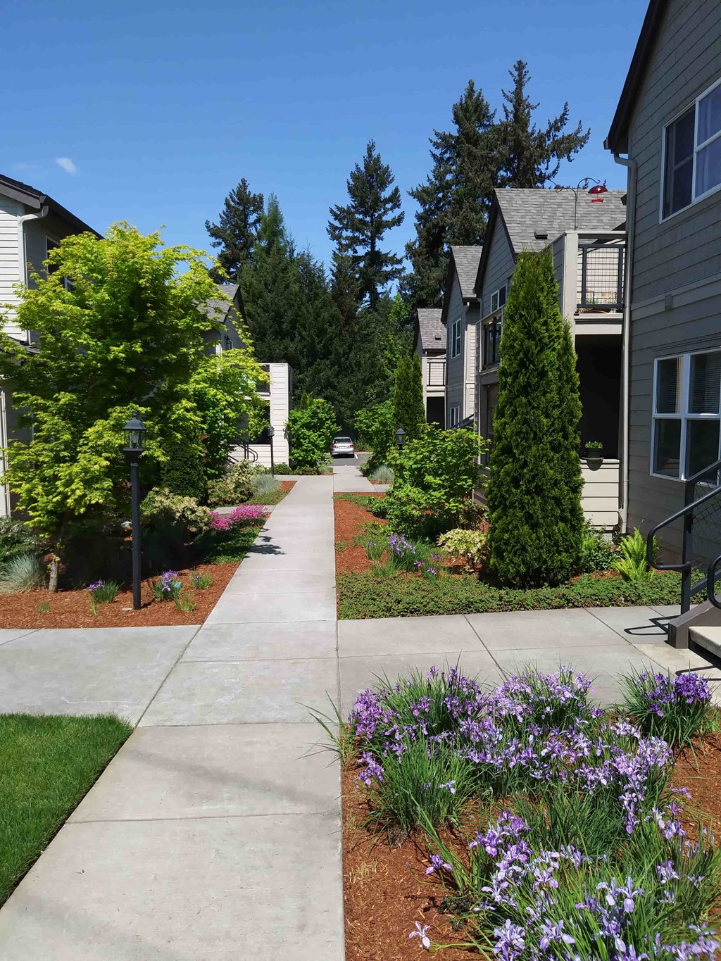 a sidewalk in front of some houses
