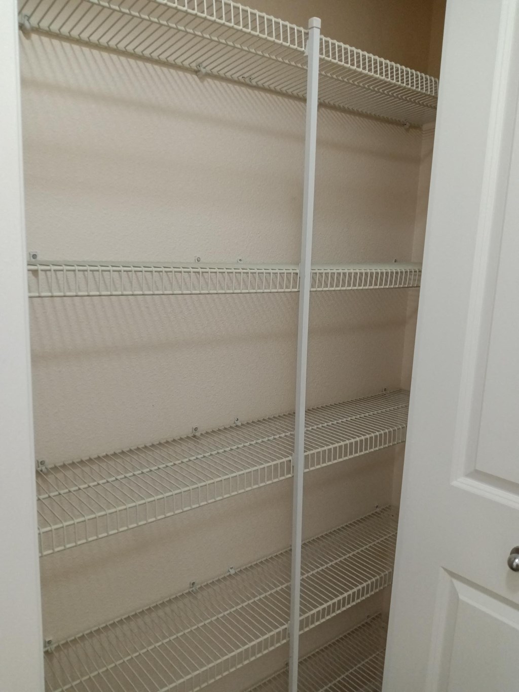 the empty shelves in the closet are empty