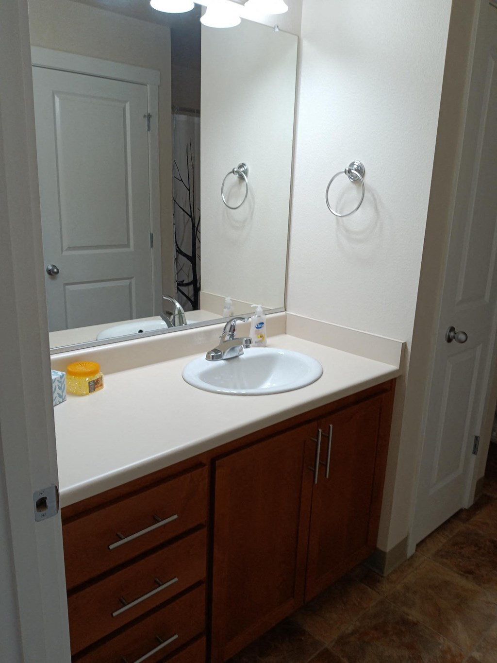 a bathroom with a sink and a large mirror