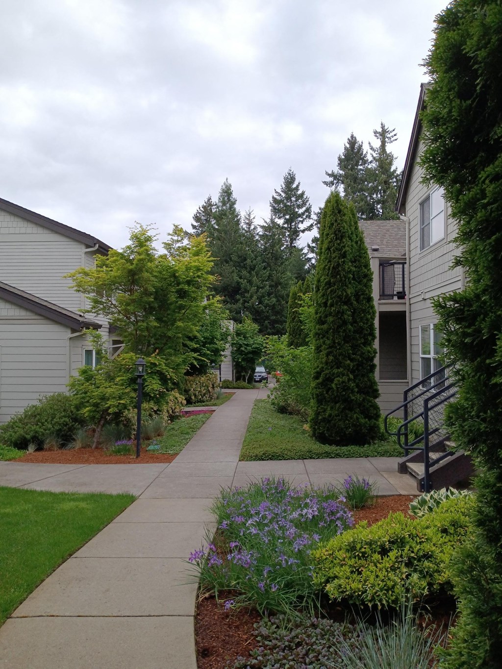 a sidewalk in front of some buildings and trees