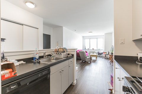 A kitchen with a black dishwasher and a black stove top.