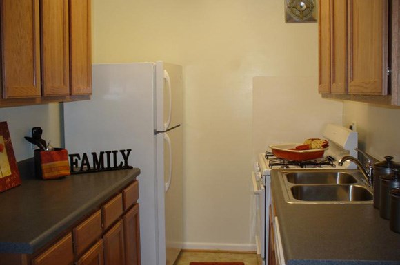 a kitchen with a white refrigerator and a sink