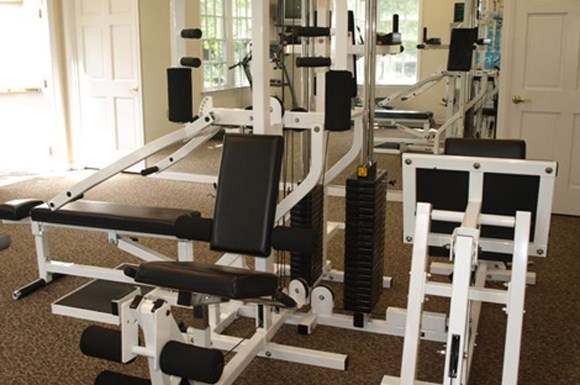 the gym has a variety of weights and cardio equipment