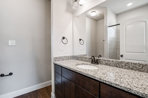 a bathroom with a sink and a mirror