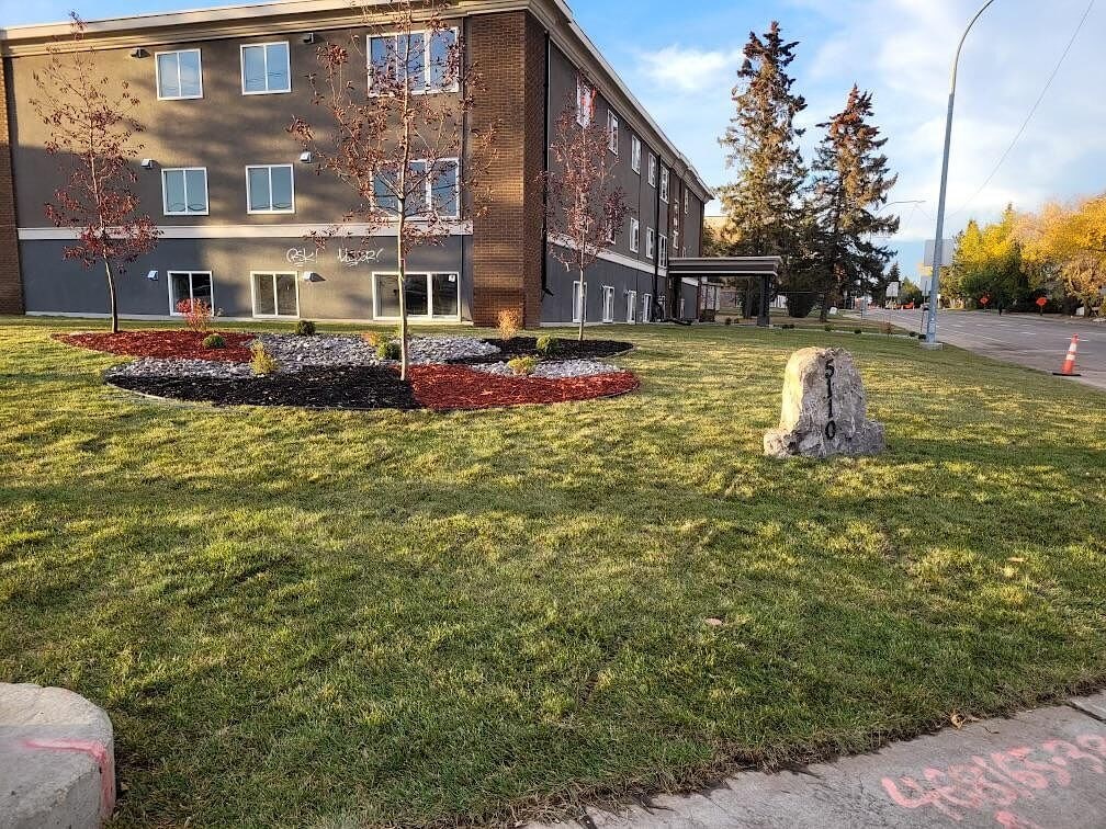 a yard with a building in the background
