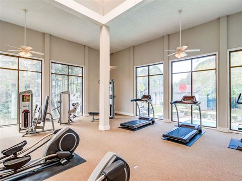 a gym with lots of windows and cardio equipment