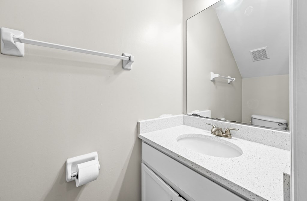 A bathroom with a sink, mirror, and toilet paper holder.