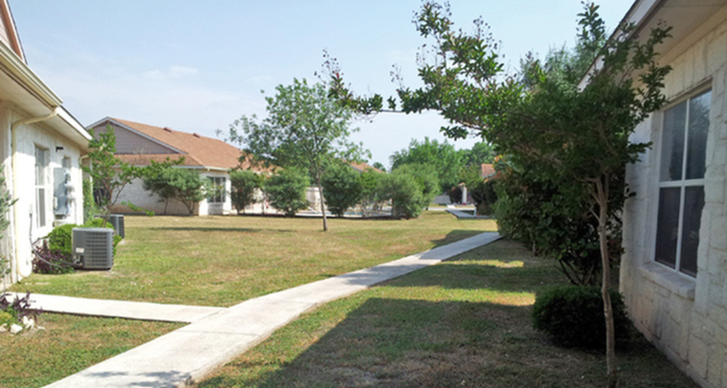 the yard of a house in a suburban neighborhood