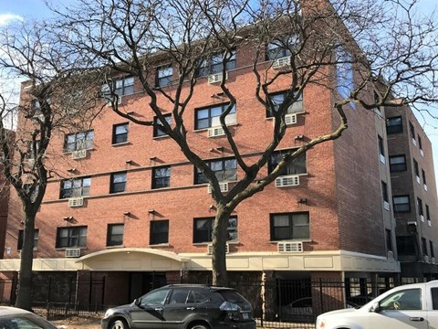 A tall brick building with a tree in front of it.