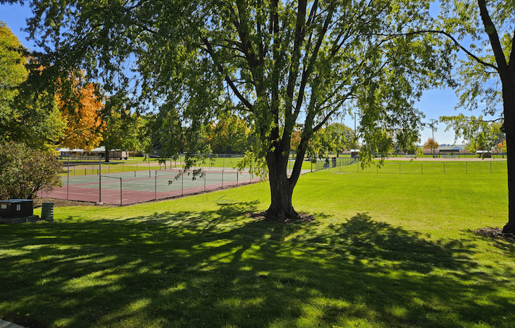 a tennis court in the shade of a tree