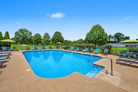 A large blue swimming pool surrounded by trees and lounge chairs.